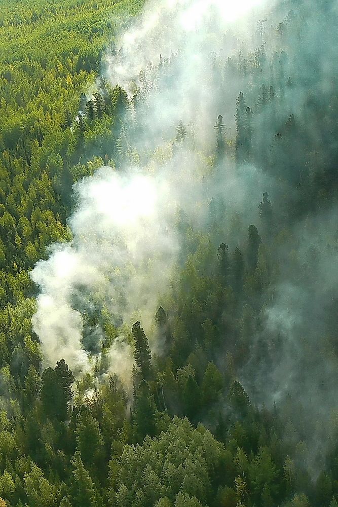 Photograph by Сергей Петров