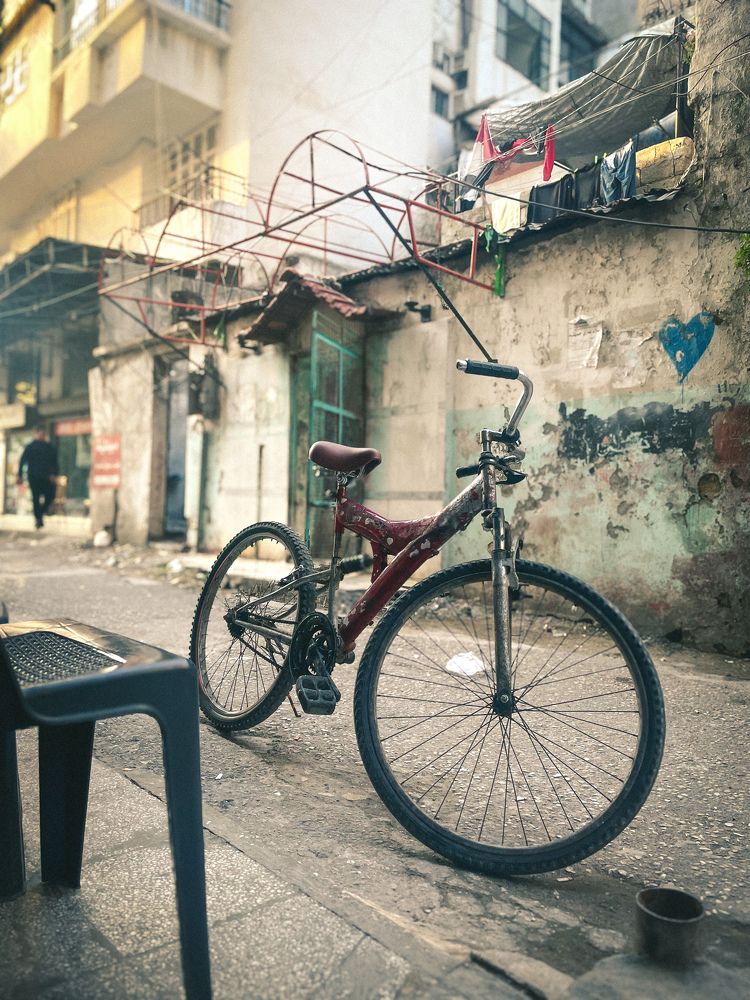 Скрытая жизнь