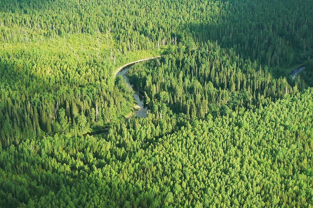 Photograph by Сергей Петров