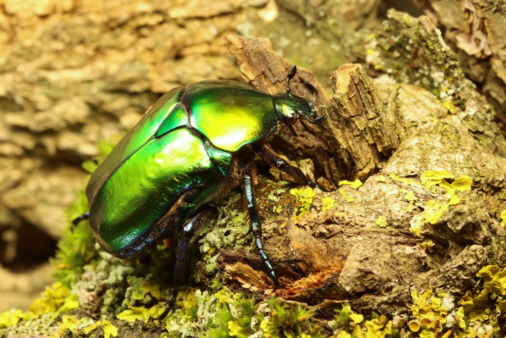 Photograph by Прокопов Григорий