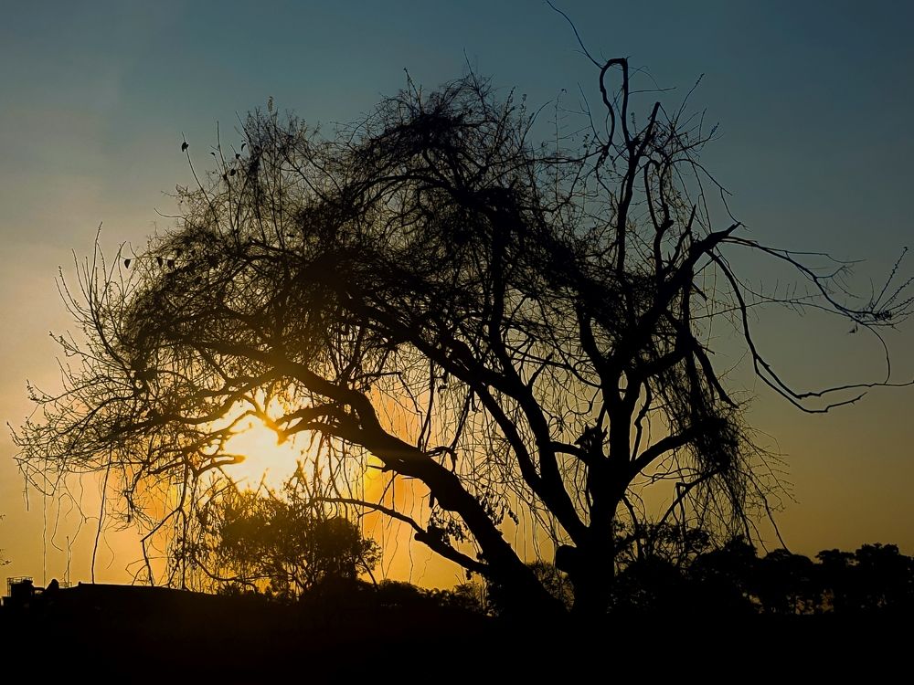 Photograph by adriana menez