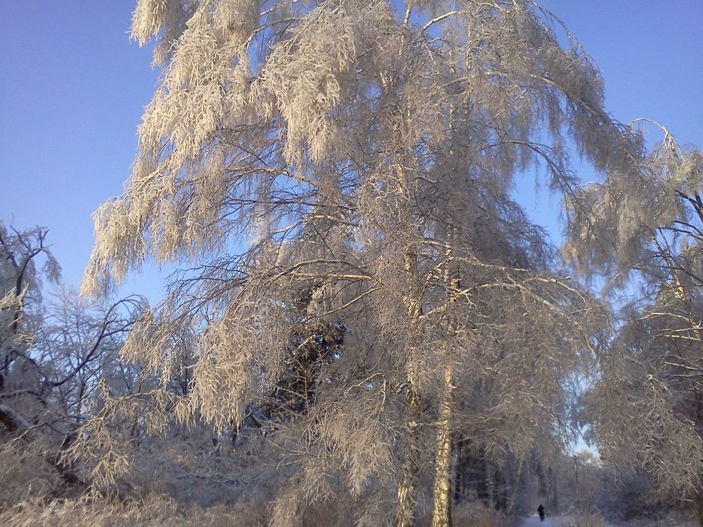 Photograph by Анастасия Липаткина