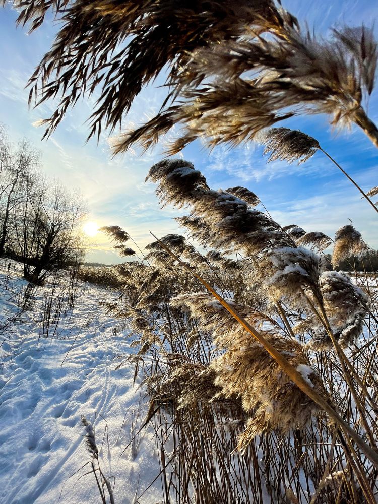 Photograph by Мария