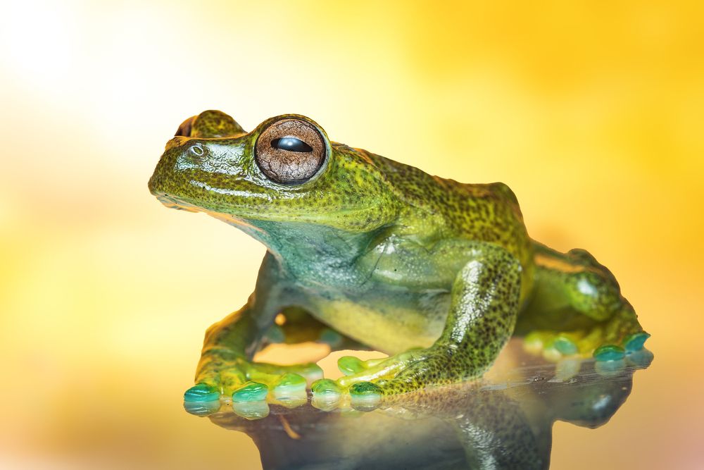 Photograph by Santiago Varela