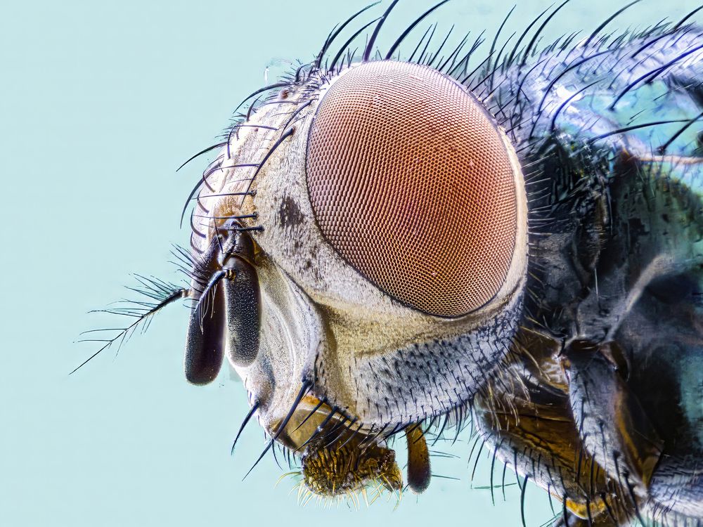 Photograph by Santiago Varela