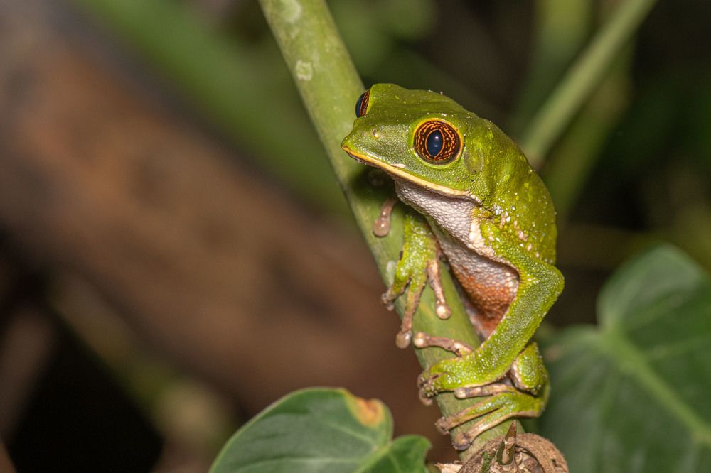 Photograph by Santiago Varela