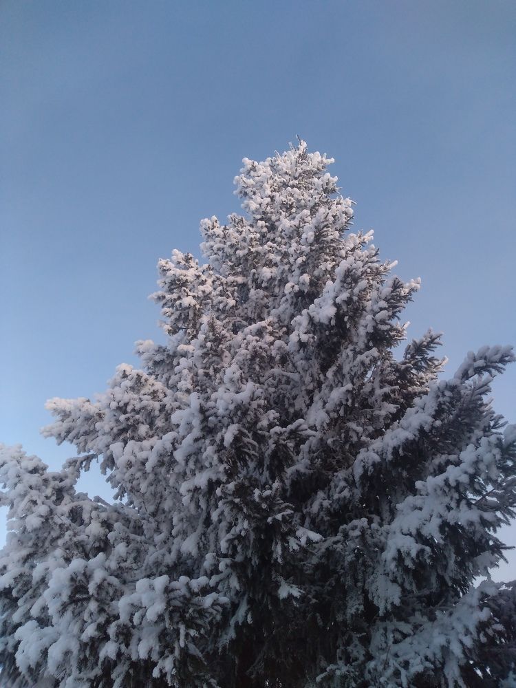 Photograph by СТЕПАН ДЖУЛАКИДЗЕ