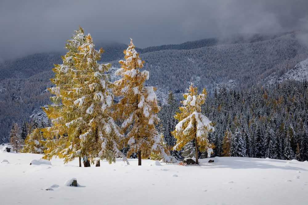 Photograph by Мария Казакова