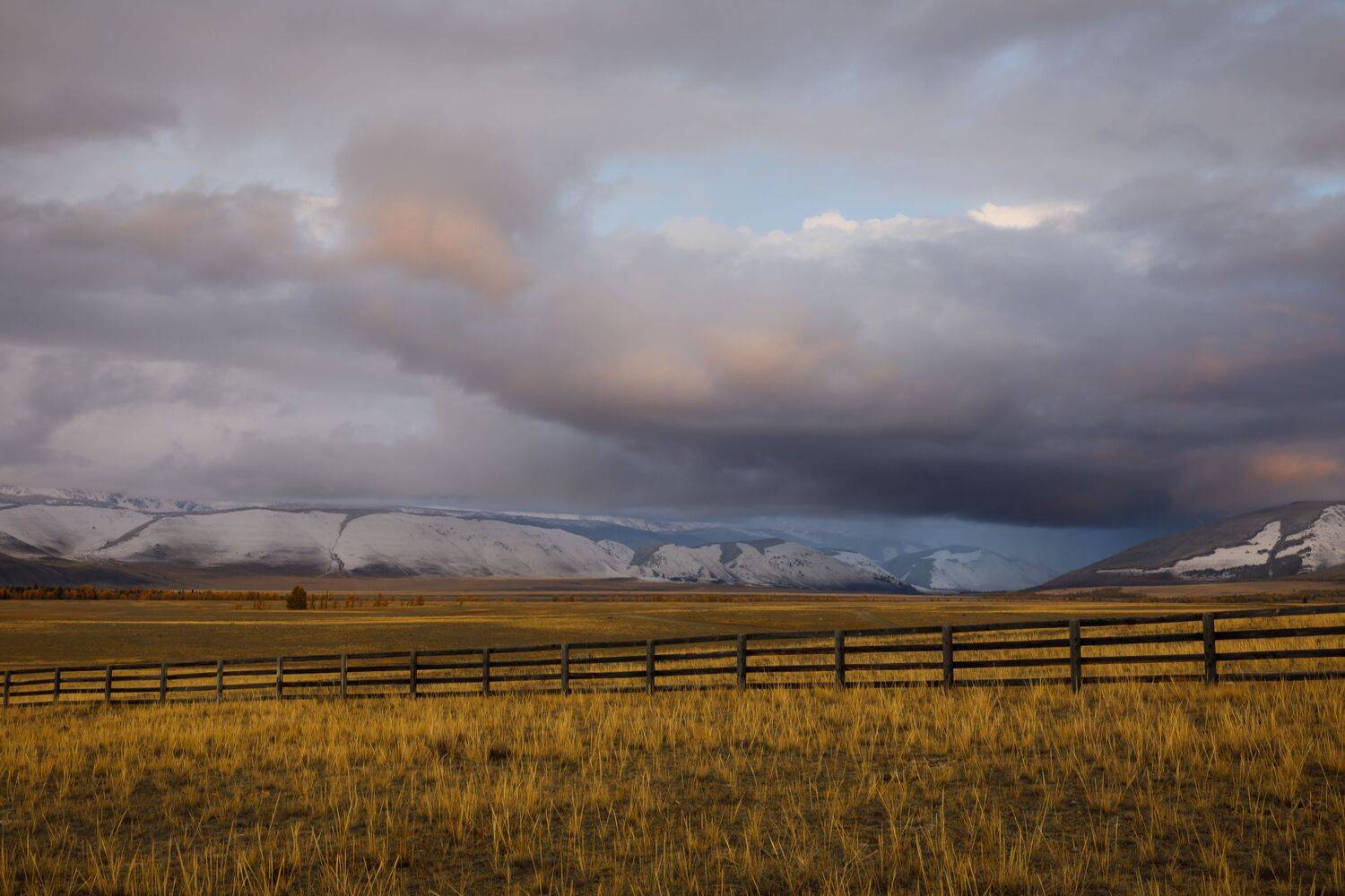 Photo #10040099