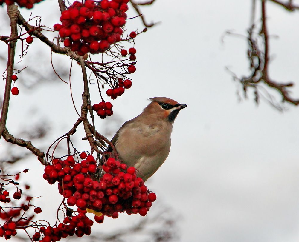 Photograph by Сергей Петров