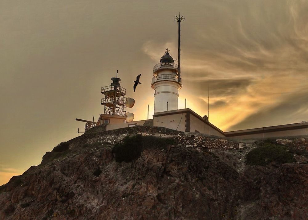 Photograph by Janina Segeda