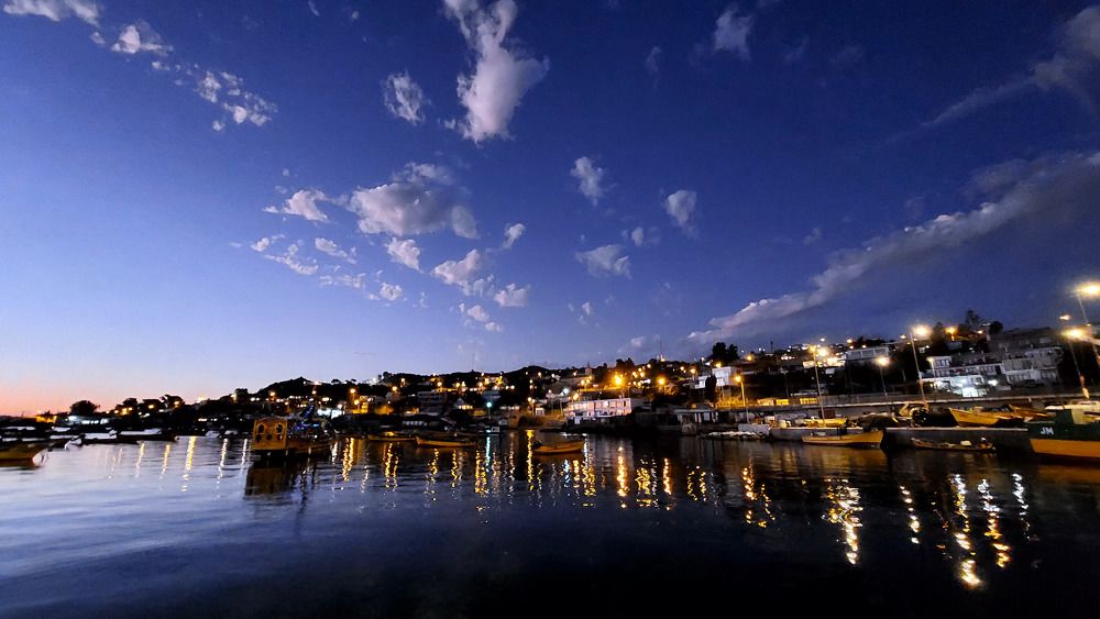 Photo #10040165