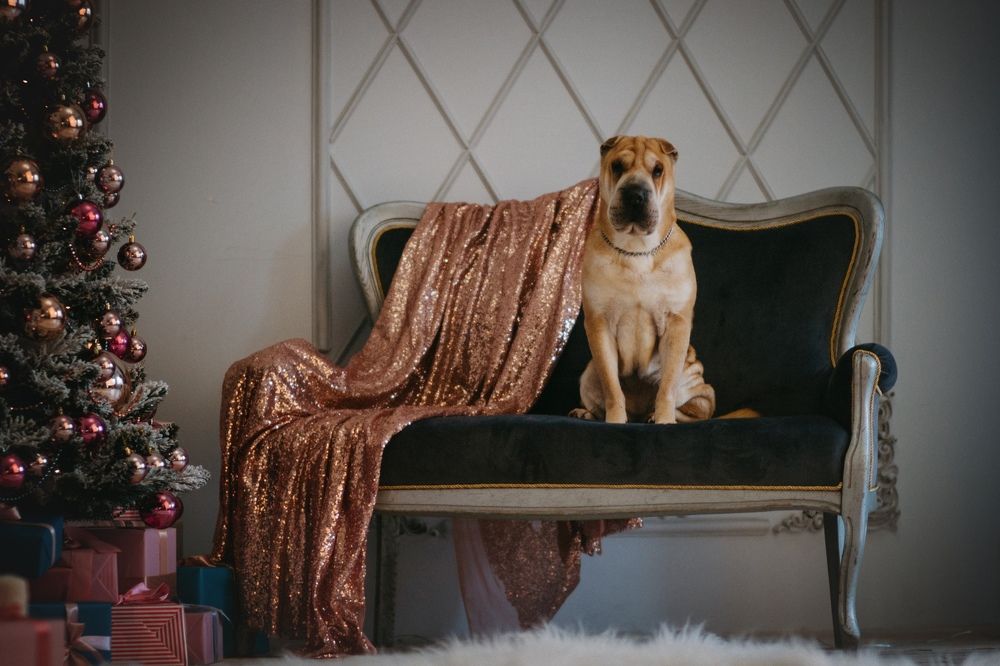 Photograph by Ангелина Ледовская