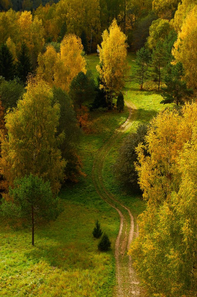 Фотография автора Elvijs Kalniņš