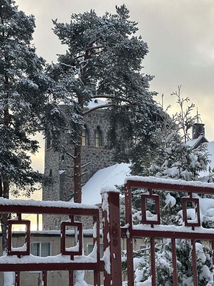 Photograph by Анастасия Лукьянюк