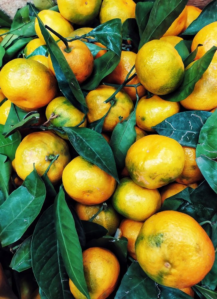 Photograph by Любовь Сухова