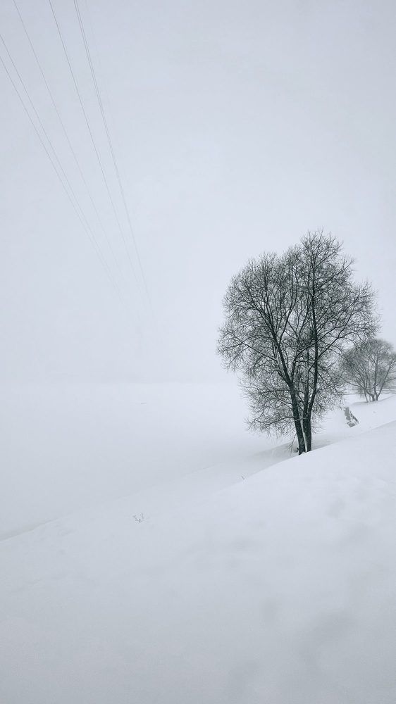 Photograph by Андрей Друцкой