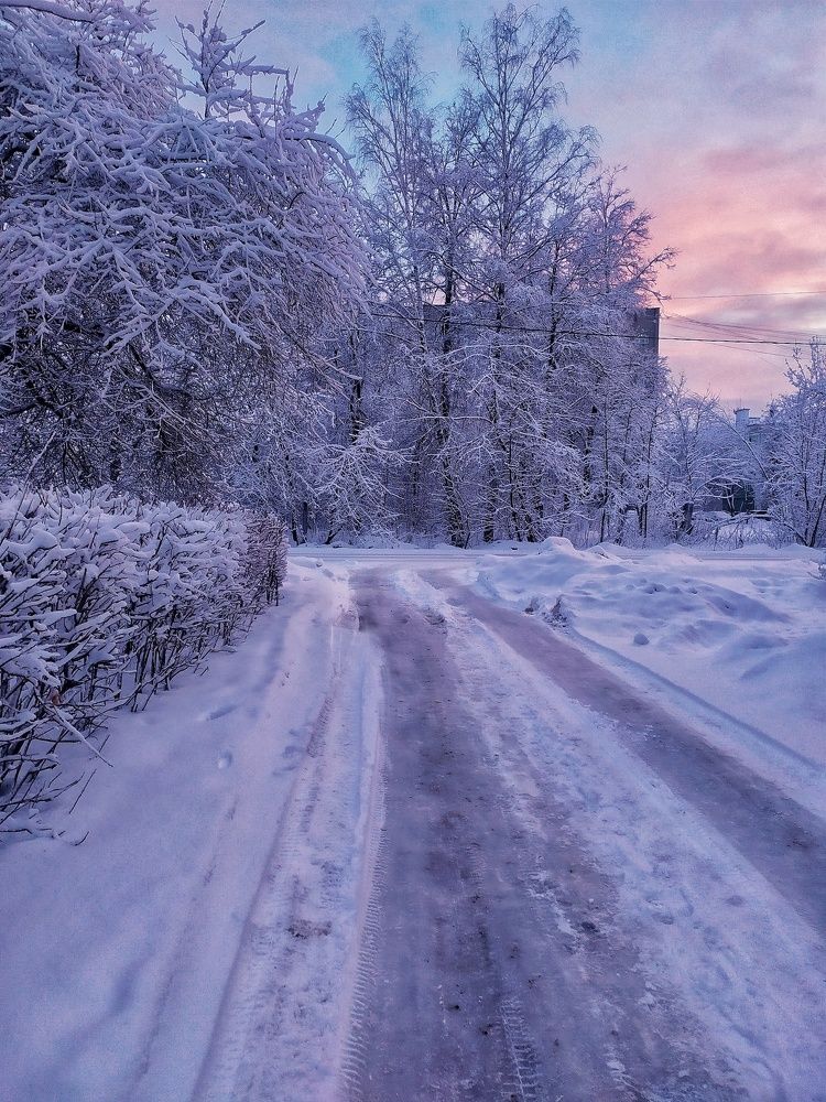 Photograph by Любовь Сухова