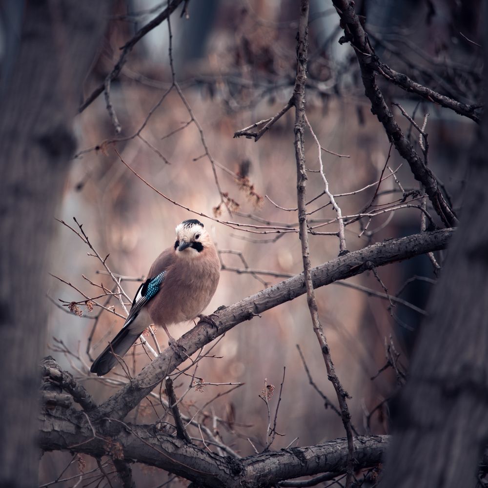 Photograph by Sargis Baghramyan