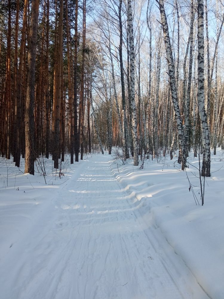 Photograph by Алина Шириева