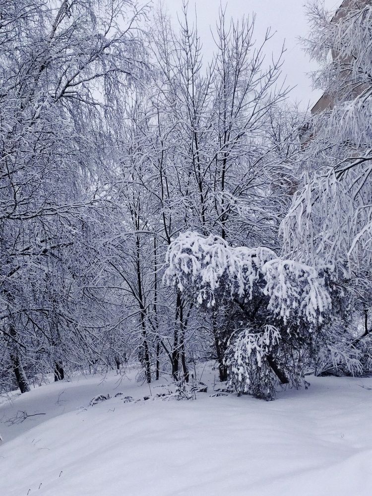 Photograph by Любовь Сухова