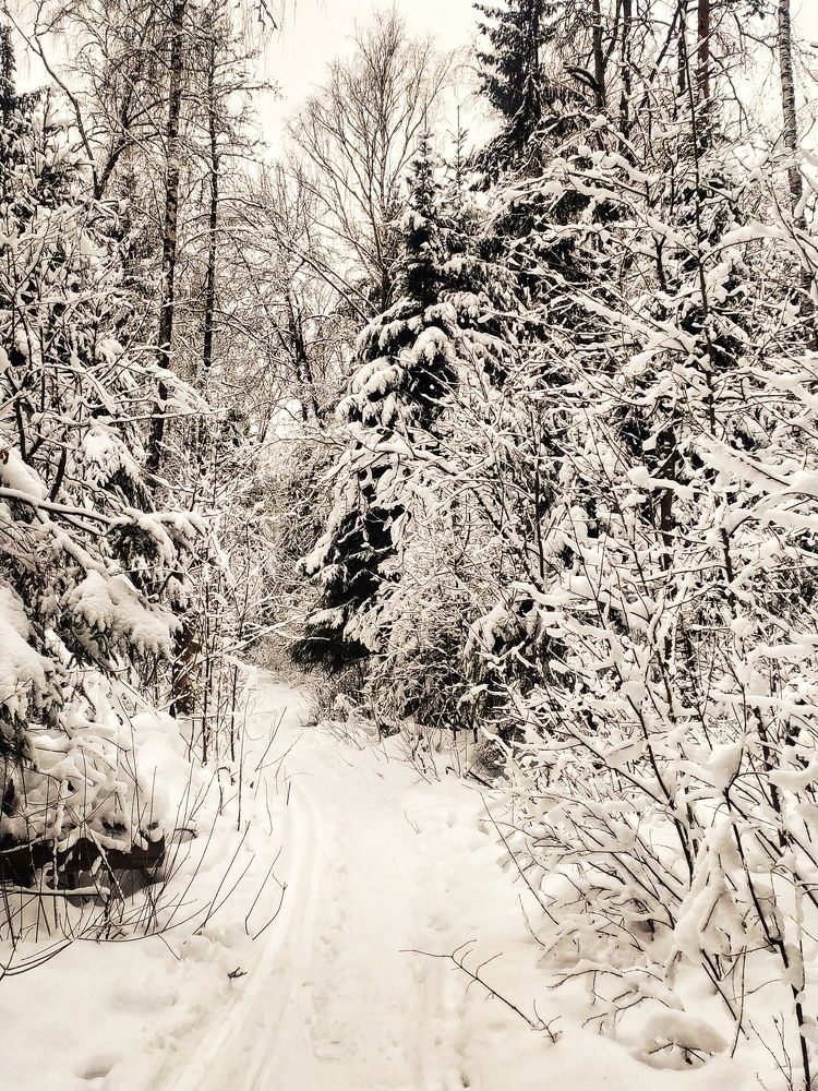 Photograph by Любовь Сухова