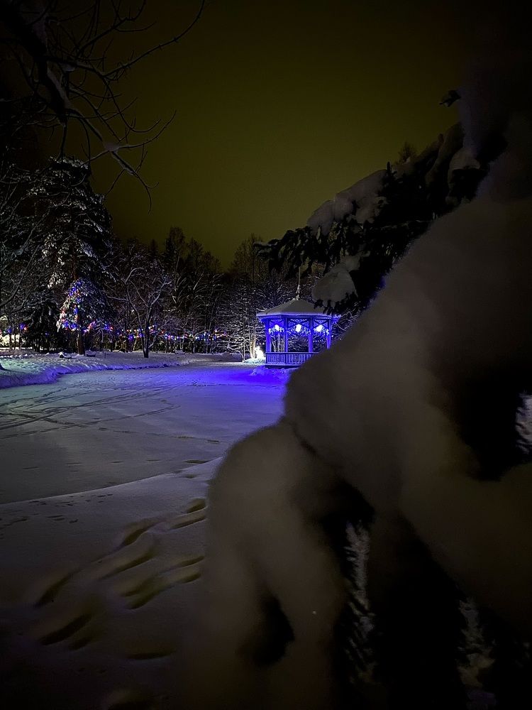 Photograph by Elena Kravchenko