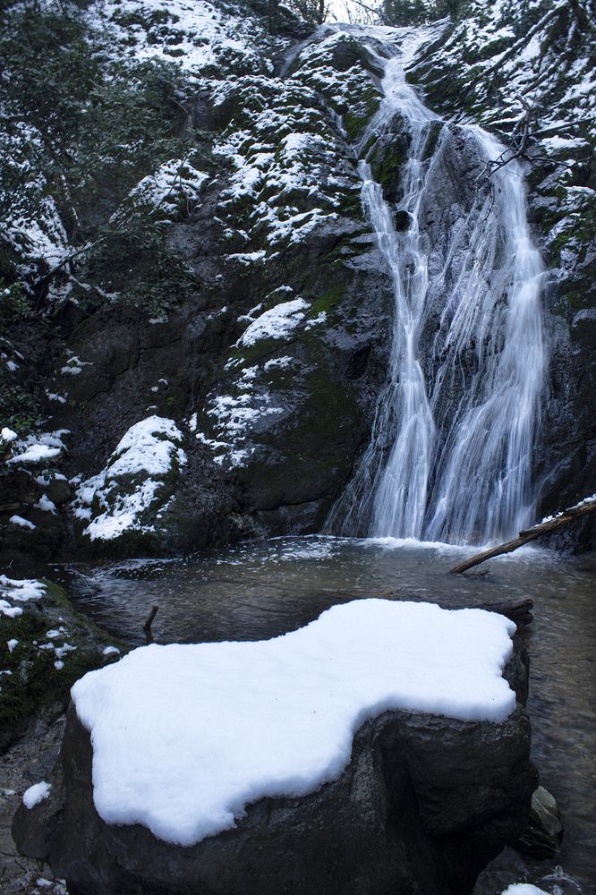 Фотография автора hasan sorena jouri