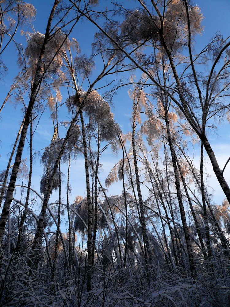 Photograph by Alex Galkin