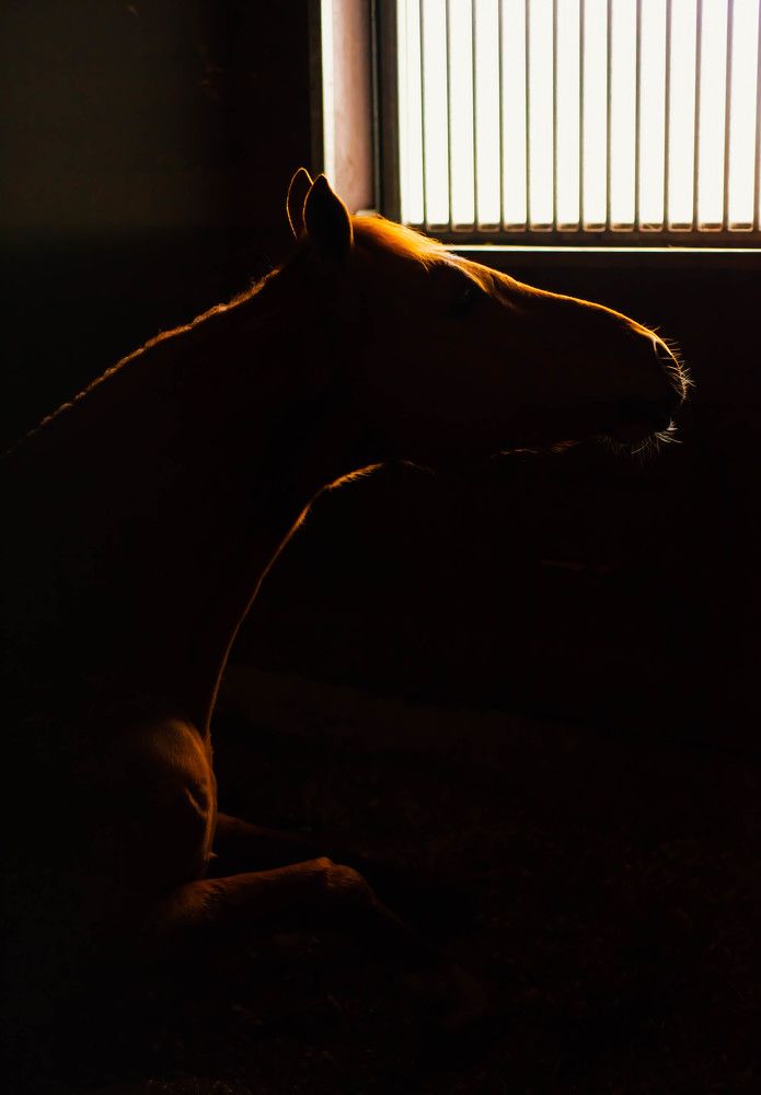 Фотография автора Aлексей Игнатьев