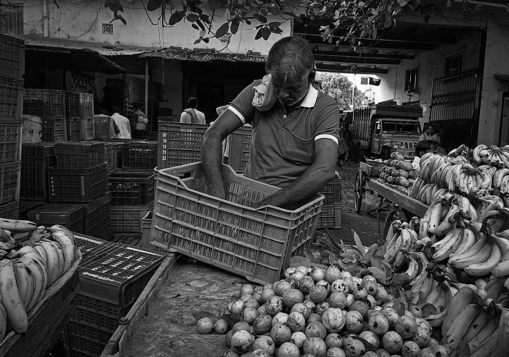 Photograph by Shriya singh