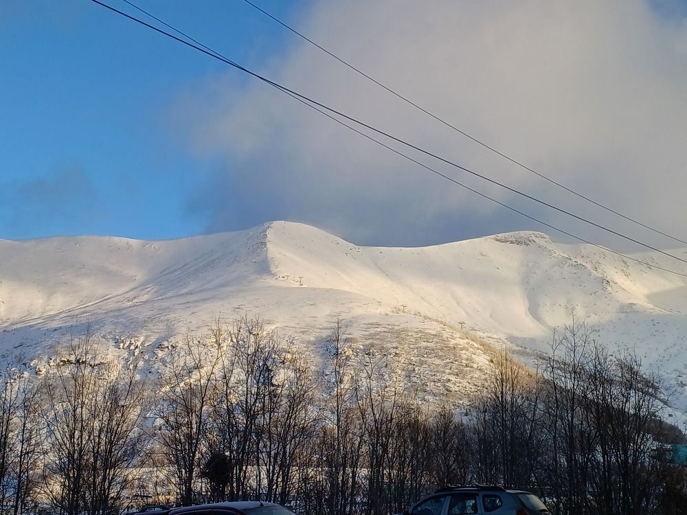 Photo #10040630