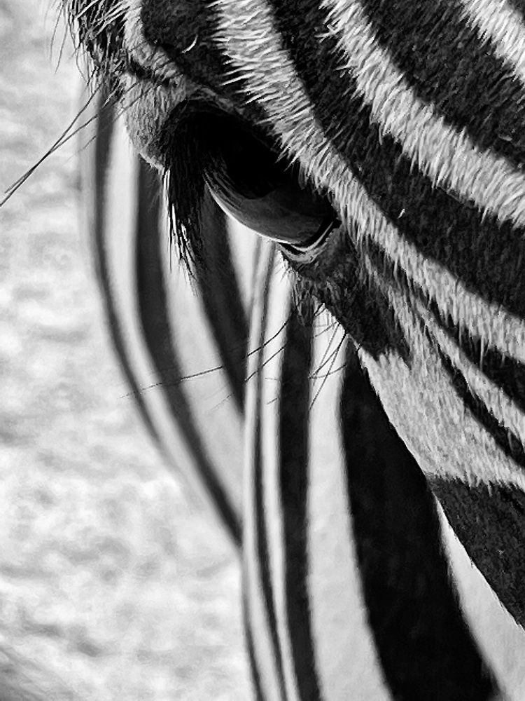 Photograph by Евгения Казакова