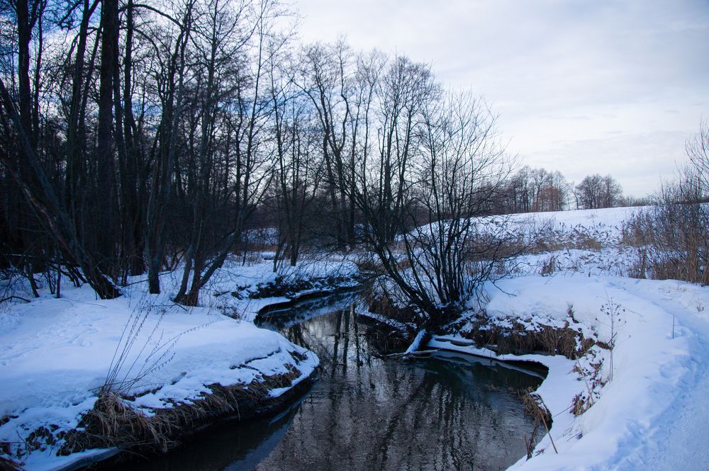 Photograph by Елизавета Корнилова