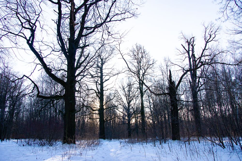 Photograph by Елизавета Корнилова