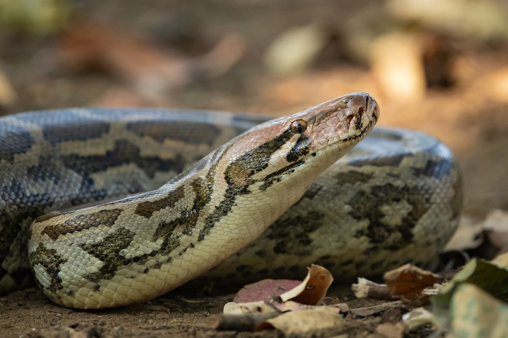 Photograph by Sameer Bhalekar