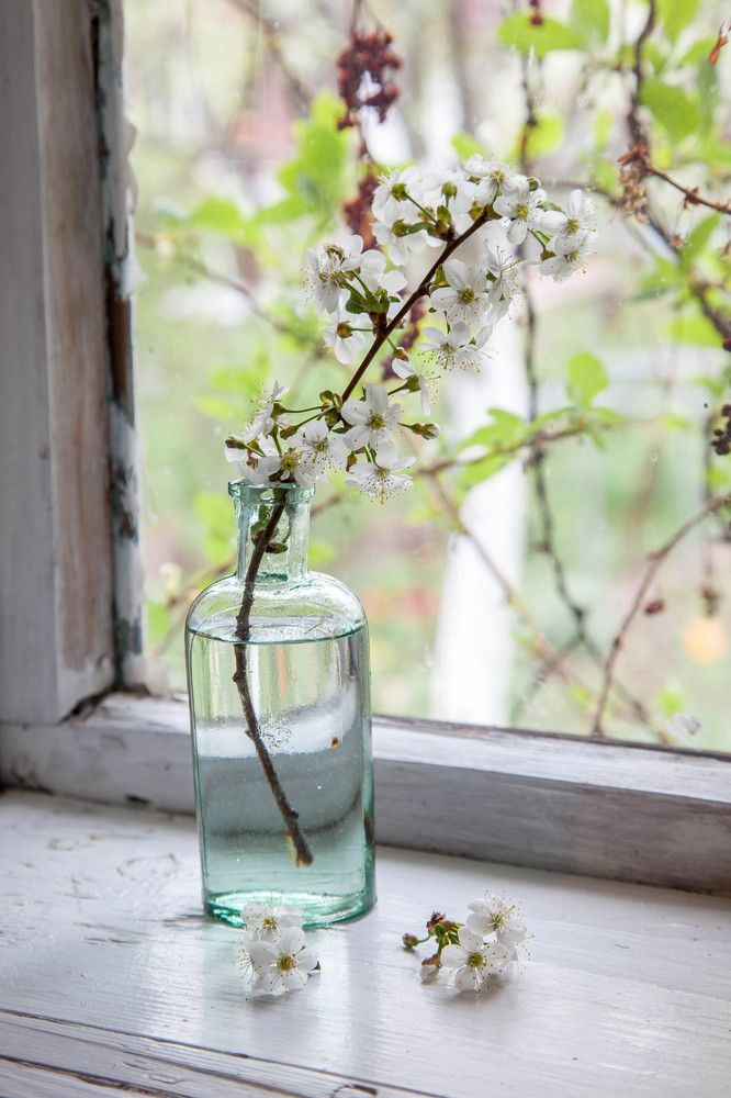 Photograph by Сагдиева Эльвира