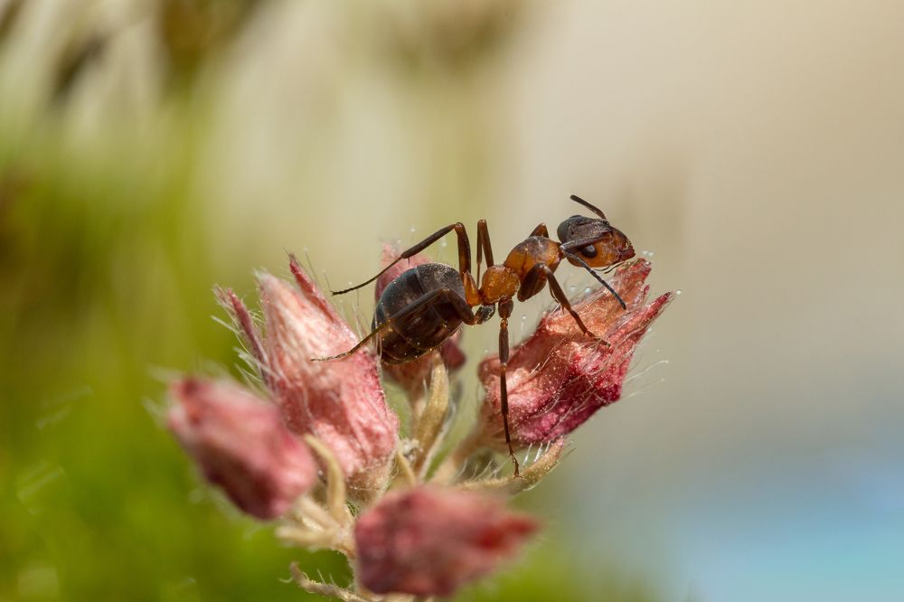 Жизнь начинается с воды