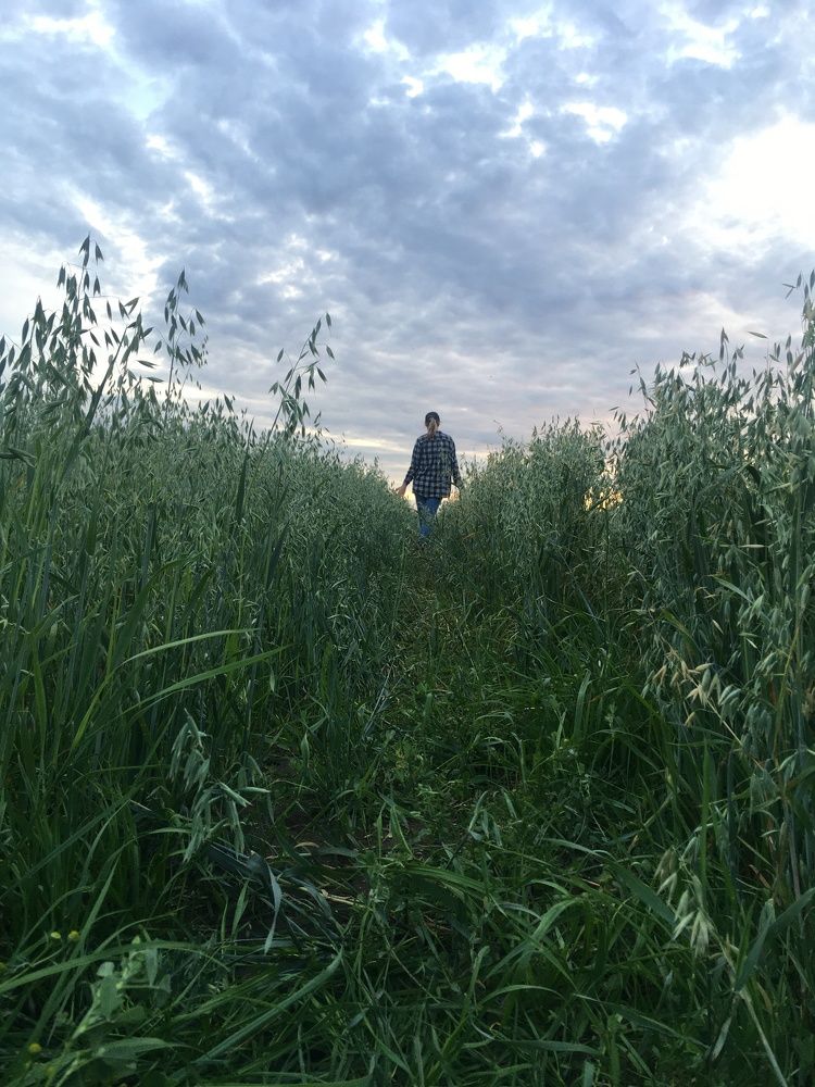 Photograph by Ольга Рубцова