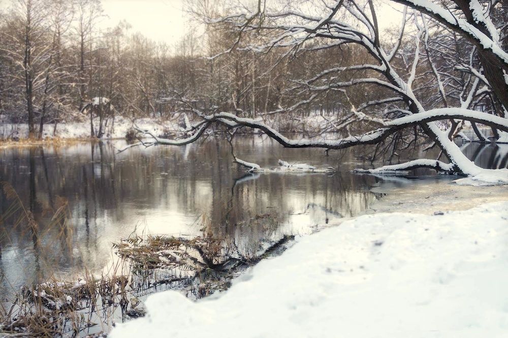 Photograph by Елена Пасажицкая