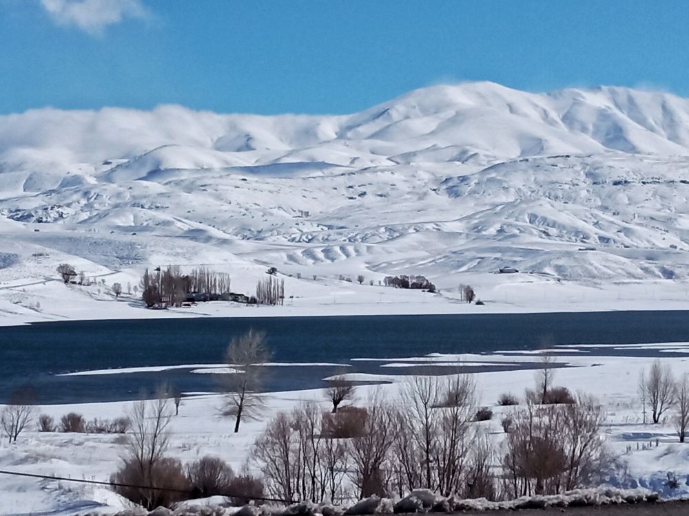 Photograph by Светлана Смирнова