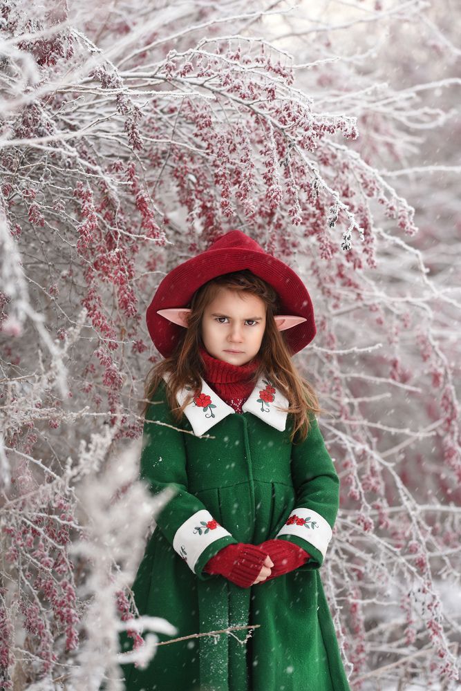 Фотография автора Келлер Ольга