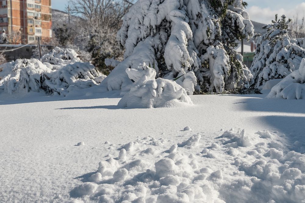 Photograph by Виталий Шкадинов