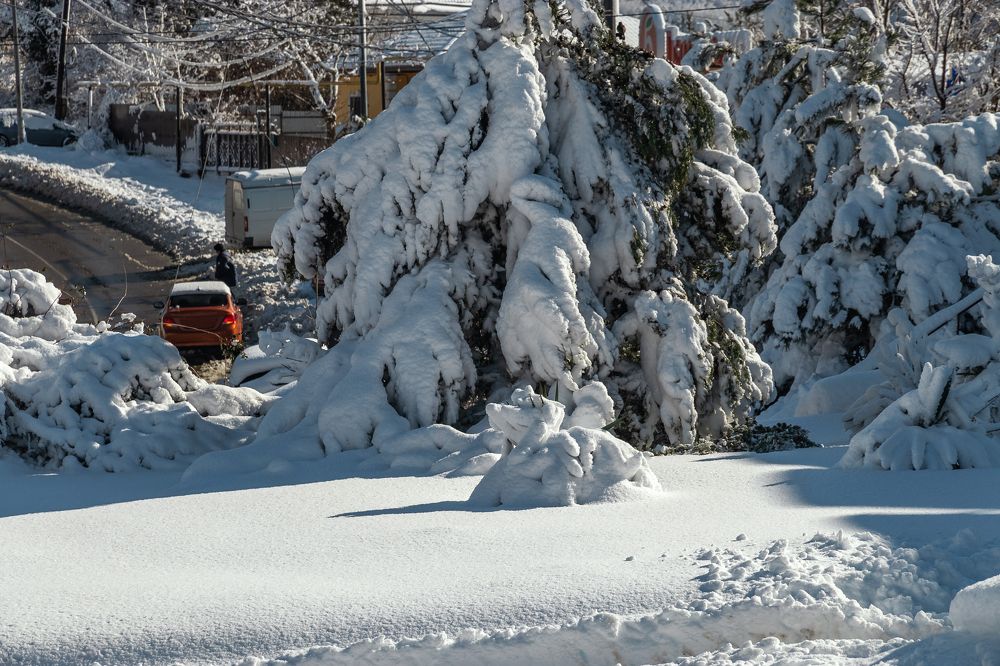 Photograph by Виталий Шкадинов