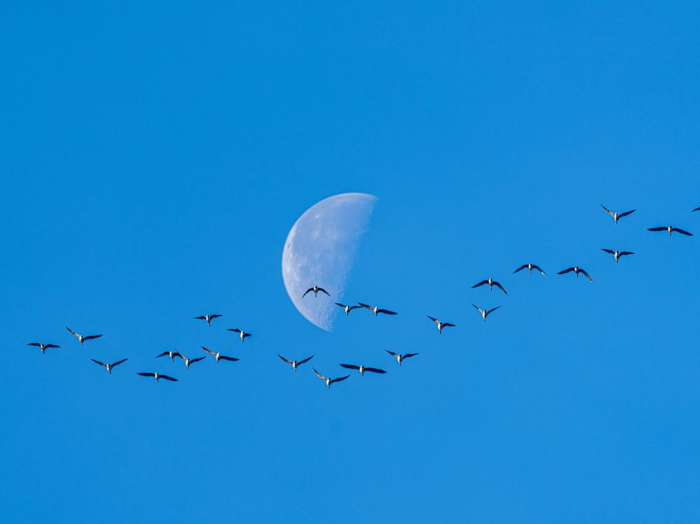 Фотография автора Инна Субботина