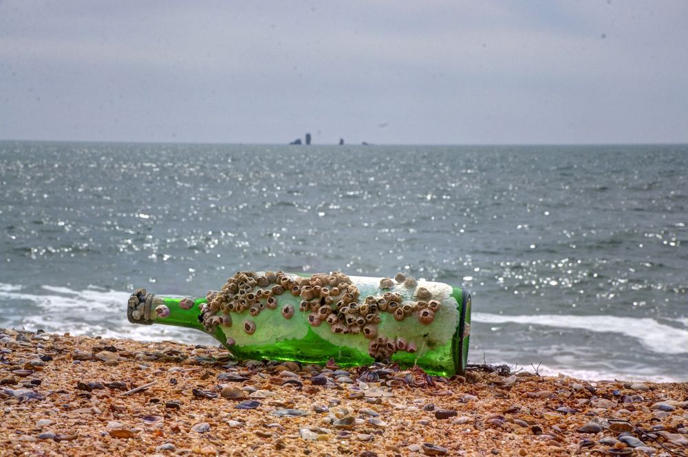 Photograph by Евгений Самулев