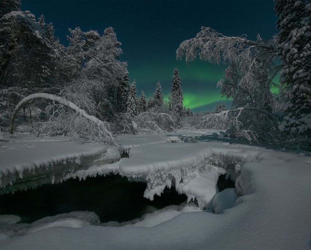 Photograph by Елена Ермолина