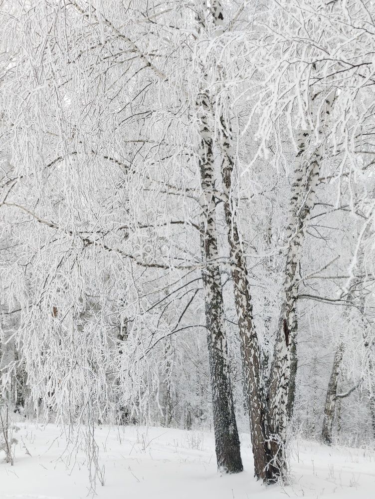 Photograph by Татьяна Гулакова