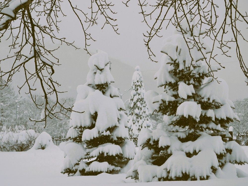 Photograph by Ения Семина