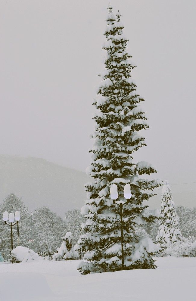 Photograph by Ения Семина